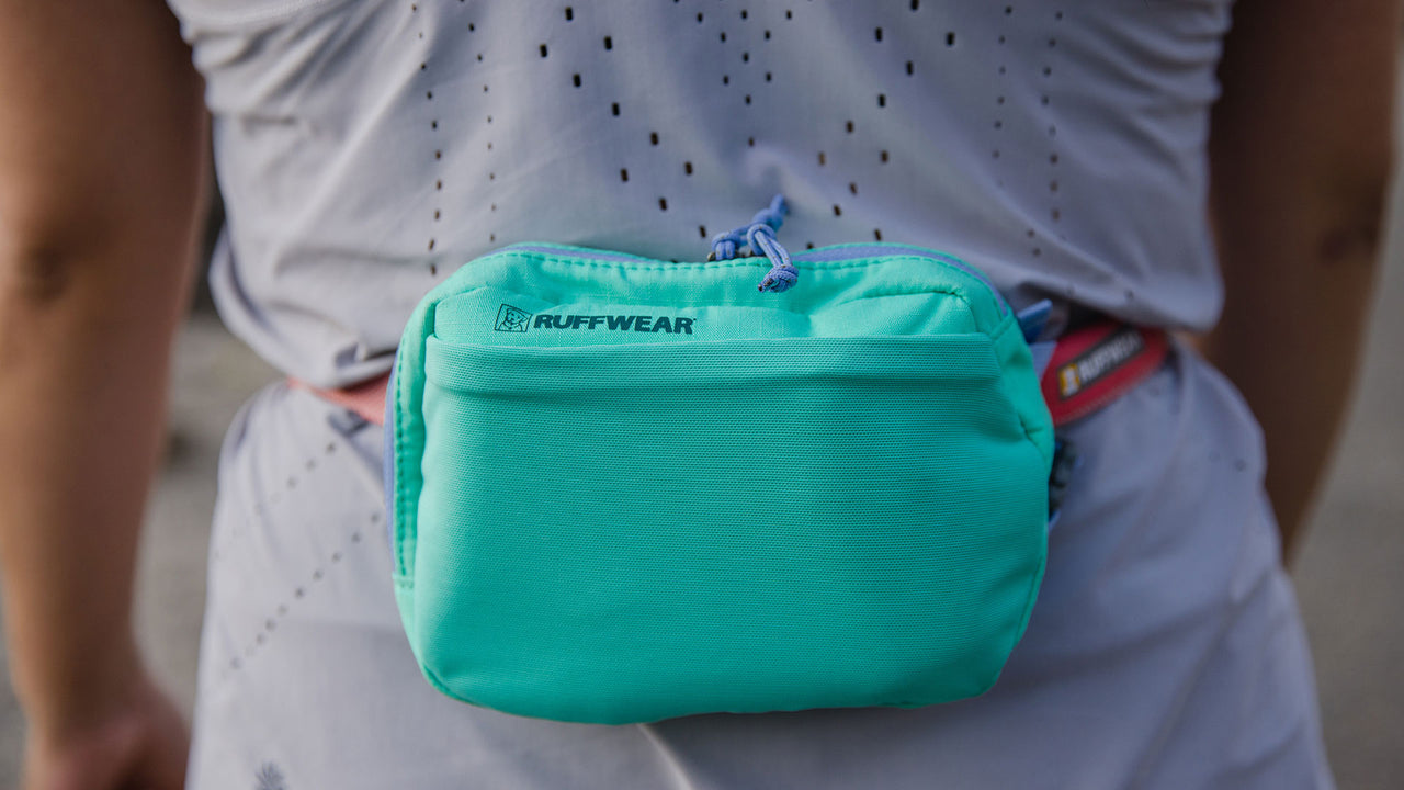 HANDS-FREE LEASH COMPATIBLE