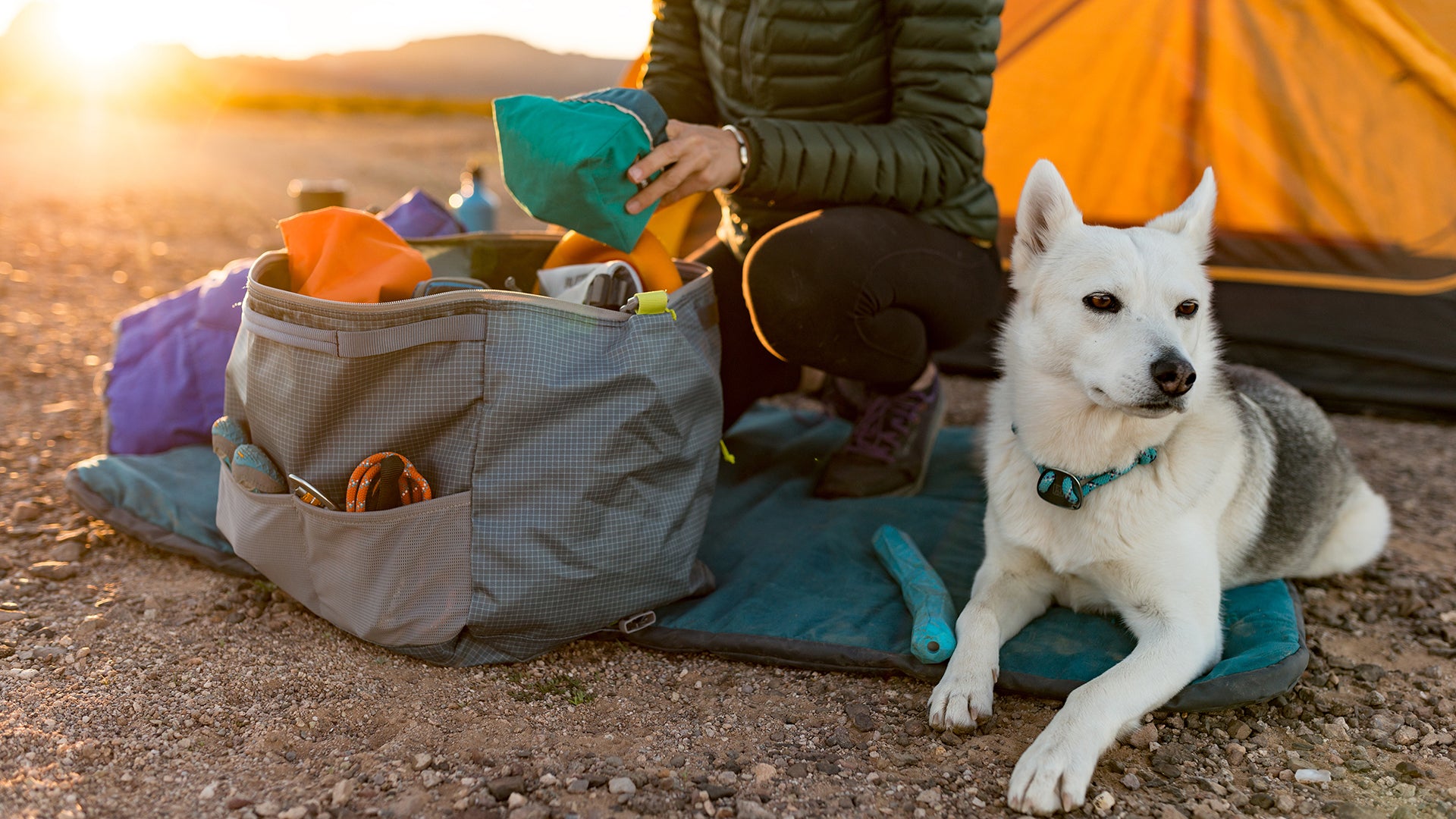 Ruffwear store dog carrier