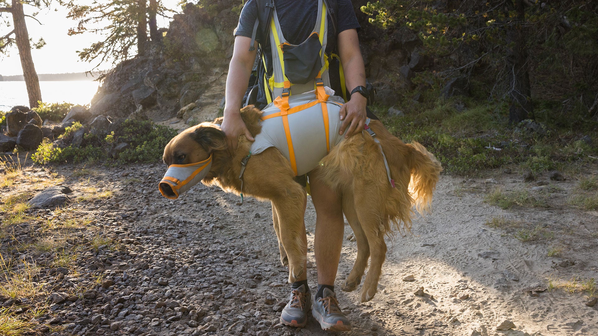 Emergency dog clearance backpack