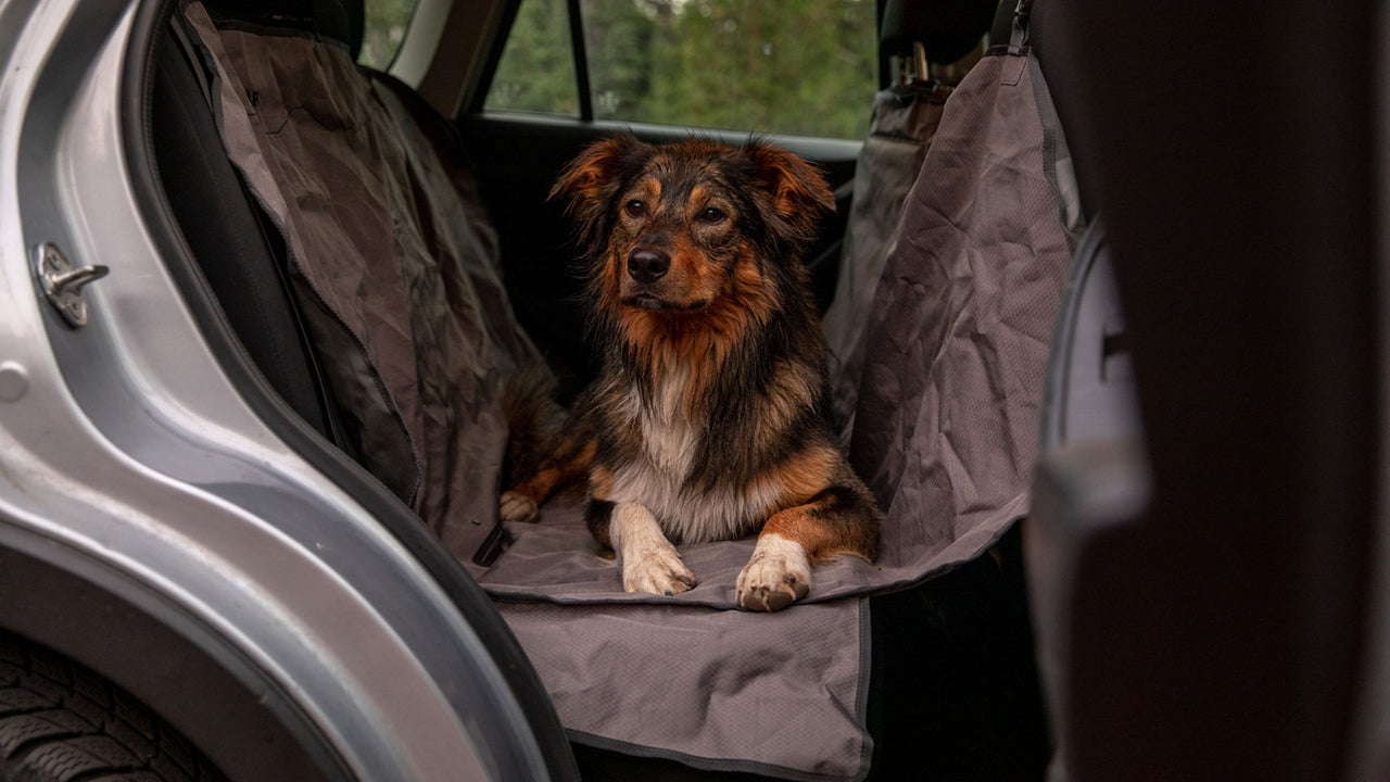 Heavy Duty Quilted Pet Dog Car Rear Back Seat Cover FOR Ford Ranger  Wildtrack