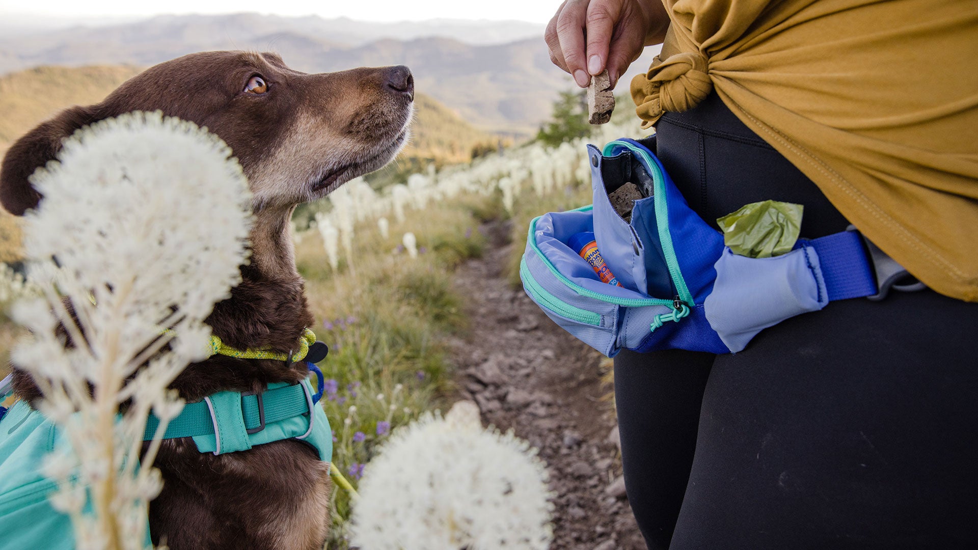 Home Trail Hip Pack Ruffwear