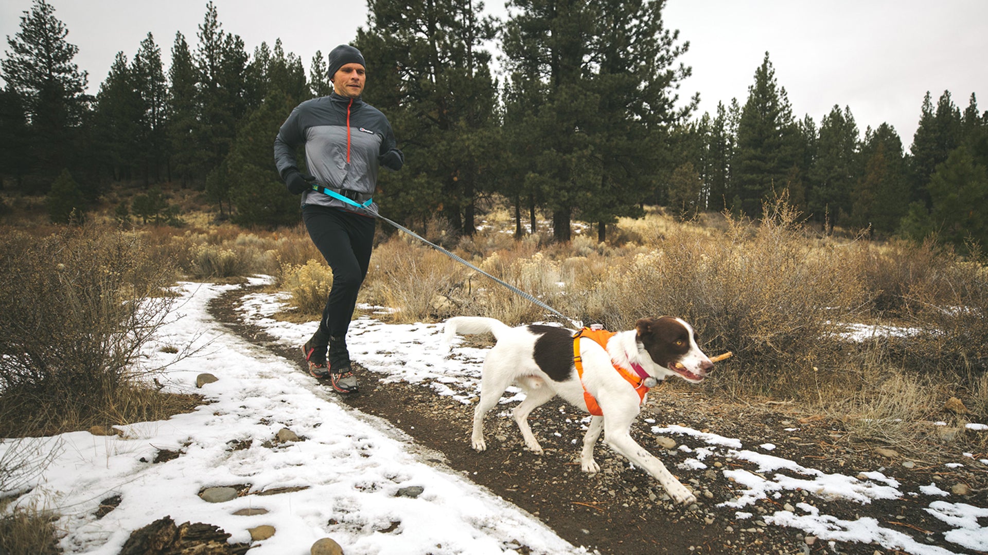 Trail Runner Dog Leash Belt System Ruffwear