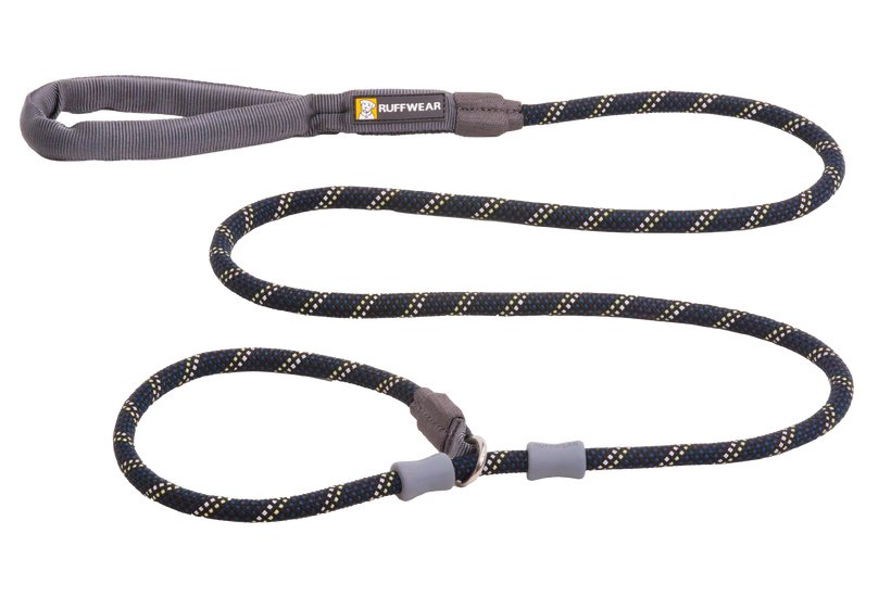 Best slip leash cheap