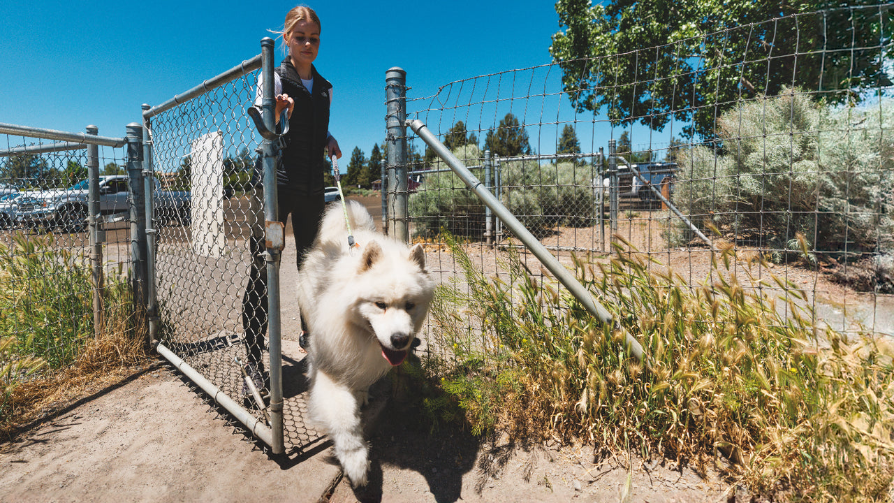 Reflective