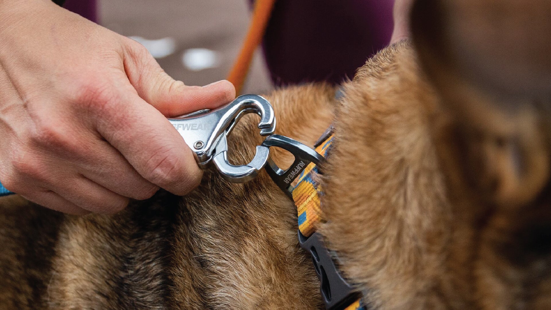 Ruffwear hot sale dog lead