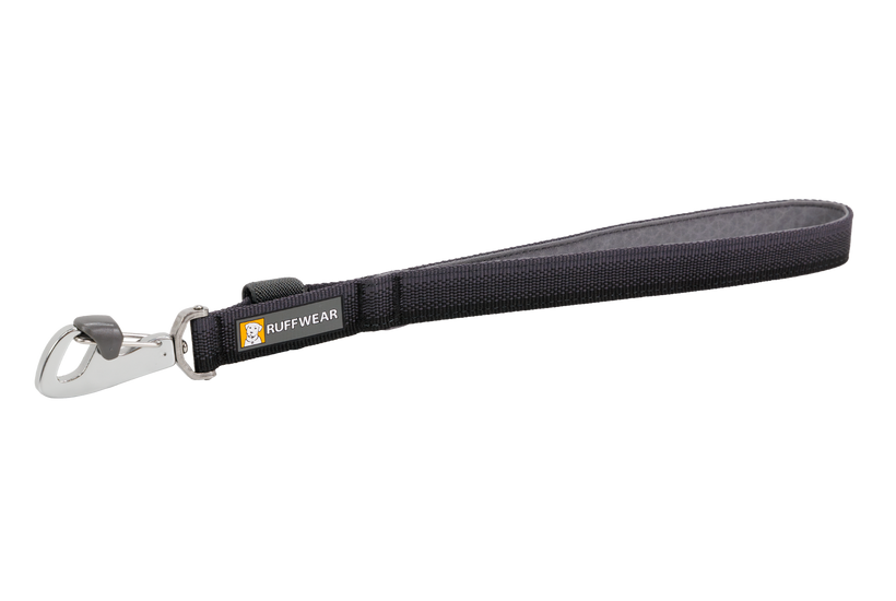 Dog on short clearance leash