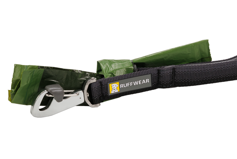 Dog clearance leash small