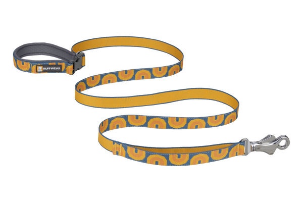 Chicago Bears Dog Collar and Leash – Ruff Life