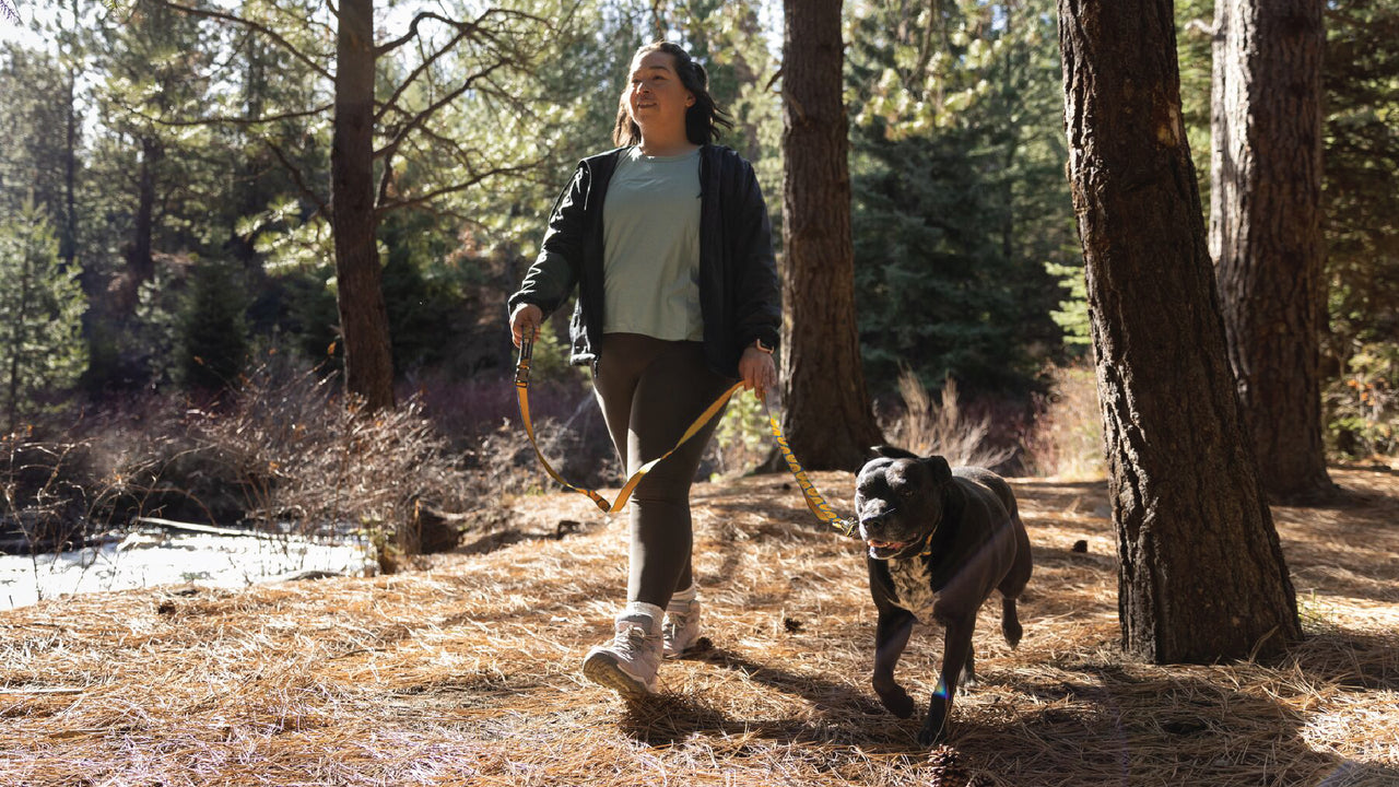 HAND-HELD OR HANDS-FREE