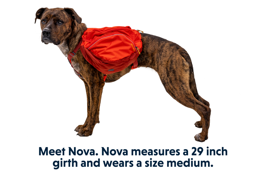 Palisades Dog Backpack