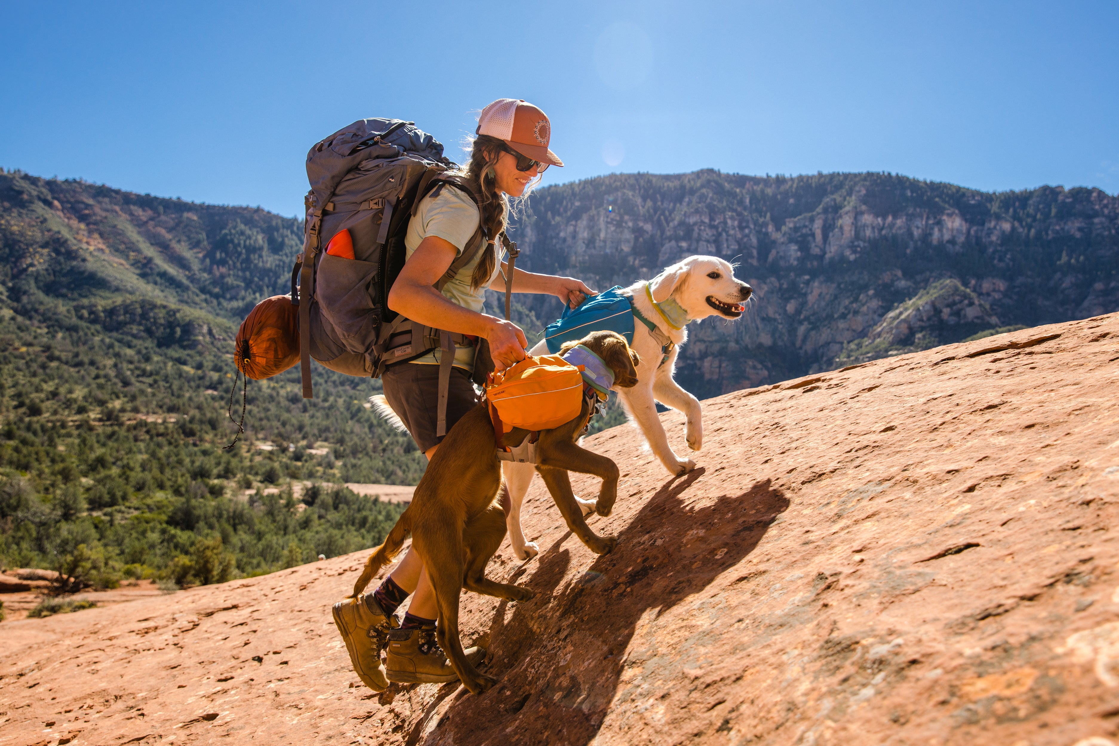 Ruffwear approach dog store backpack