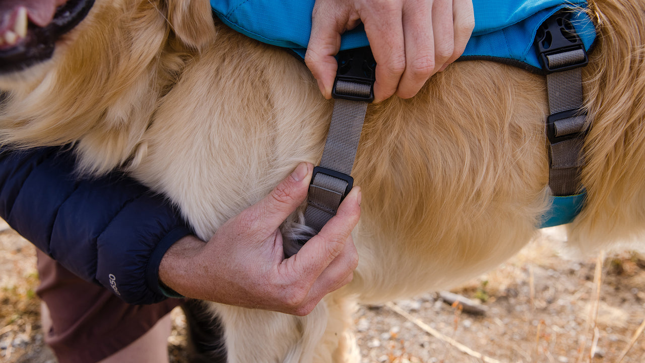 Singletrak™ Dog Hydration Pack