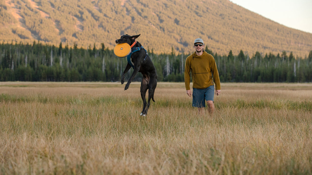 Frisbee Hover Craft™ : Frisbee pour chien - Wanimo