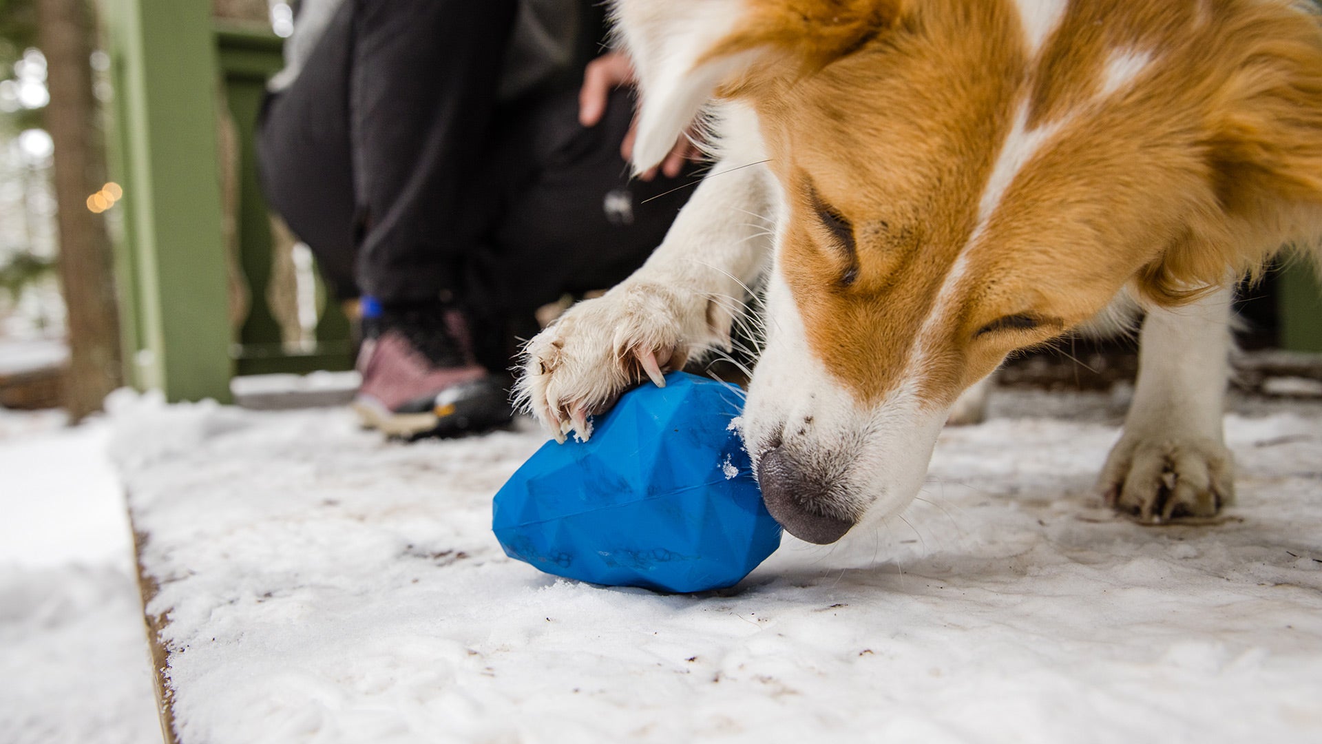 Gnawt a Cone Rubber Dog Toy Treats Bounce Ruffwear