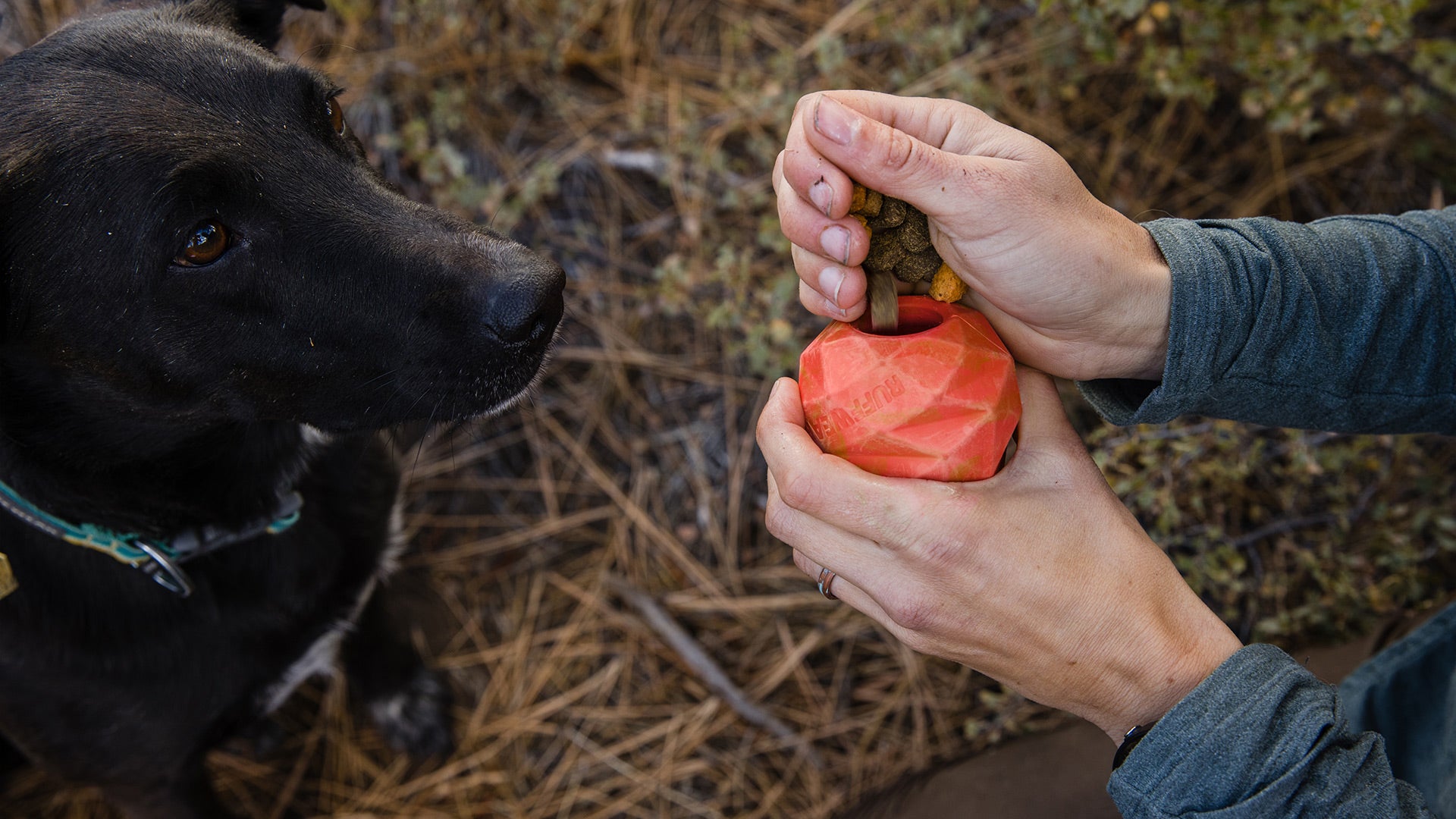 Gnawt a Cone Rubber Dog Toy Treats Bounce Ruffwear