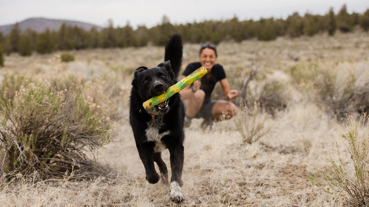 Gnawt-a-Rock™ Rubber Dog Toy, Interactive Treat Dispensing