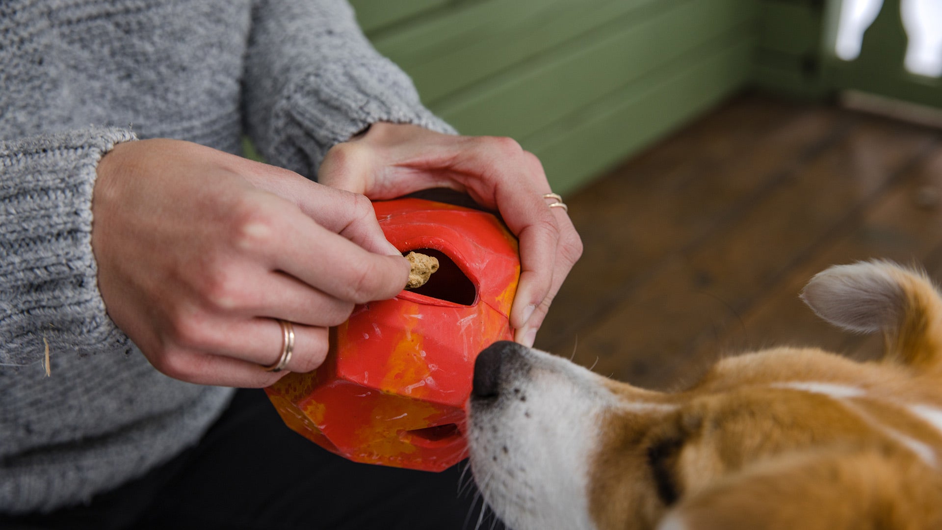 Kibble dispensing toys store dogs