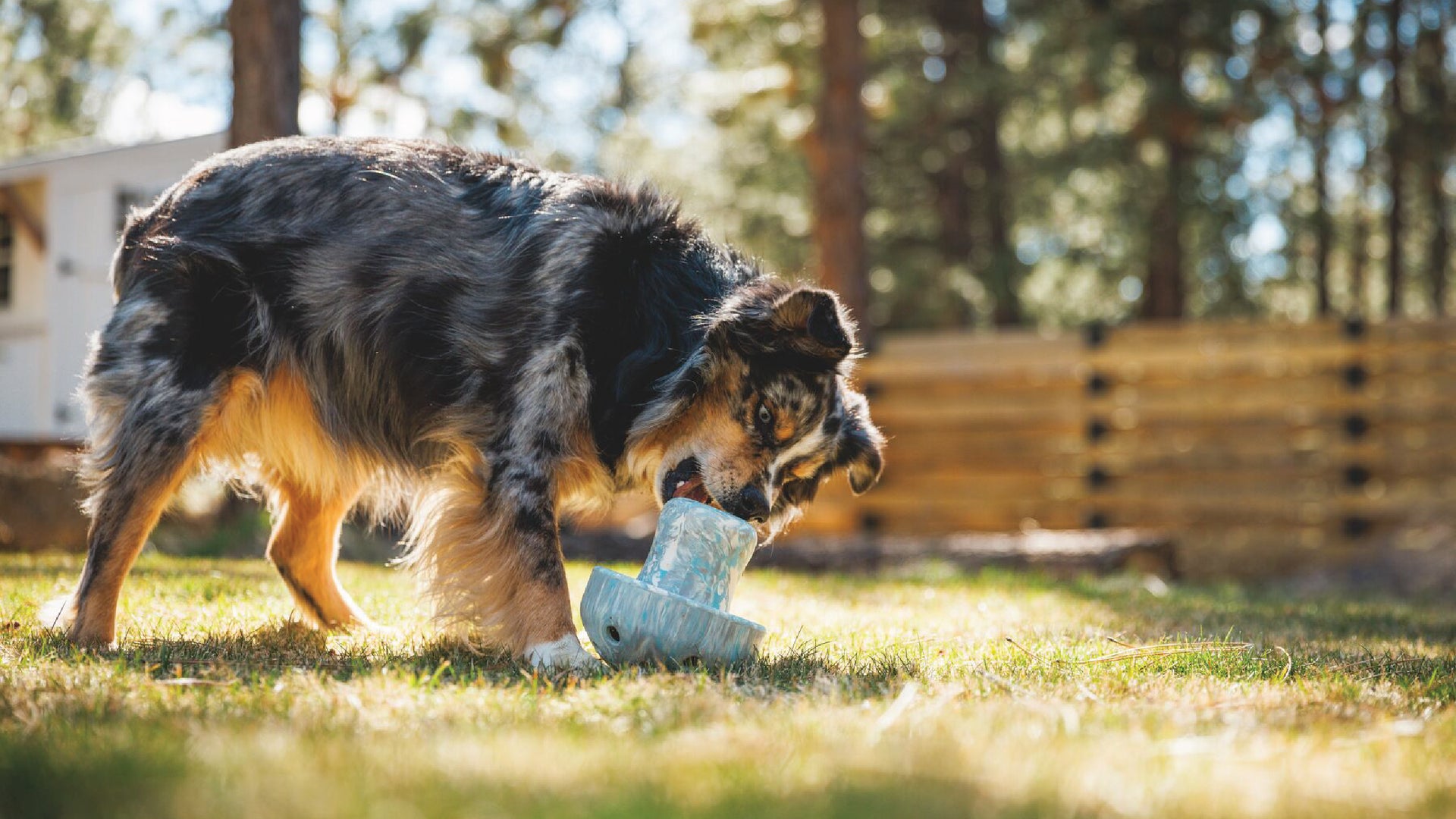 Ruffwear Porcini™ Dog Toy & Slow Feeder