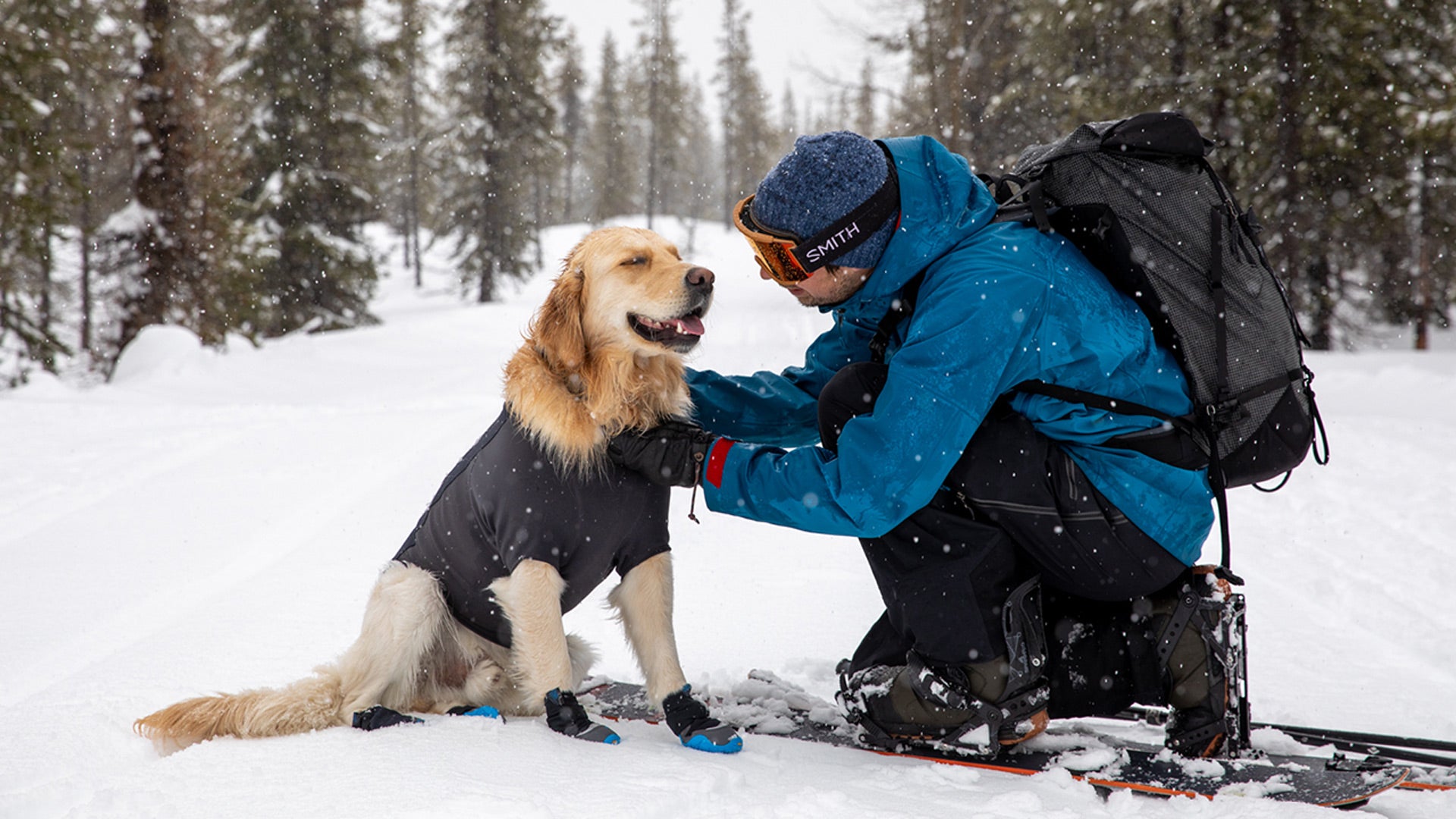 Dog store hiking jacket