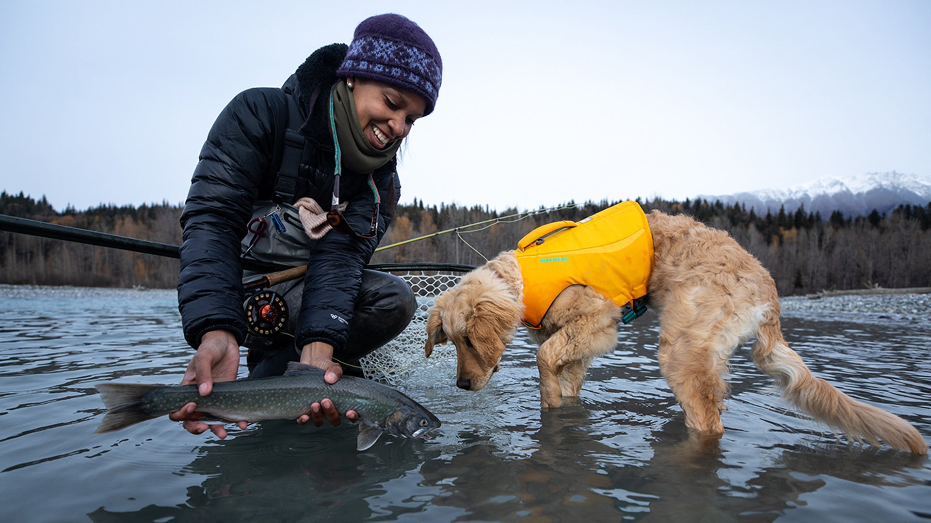 Floating best sale dog vest