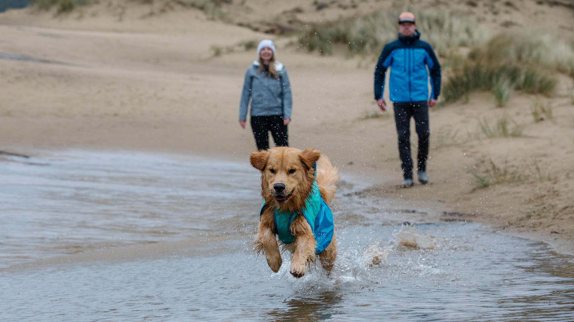 Dog store walking raincoat