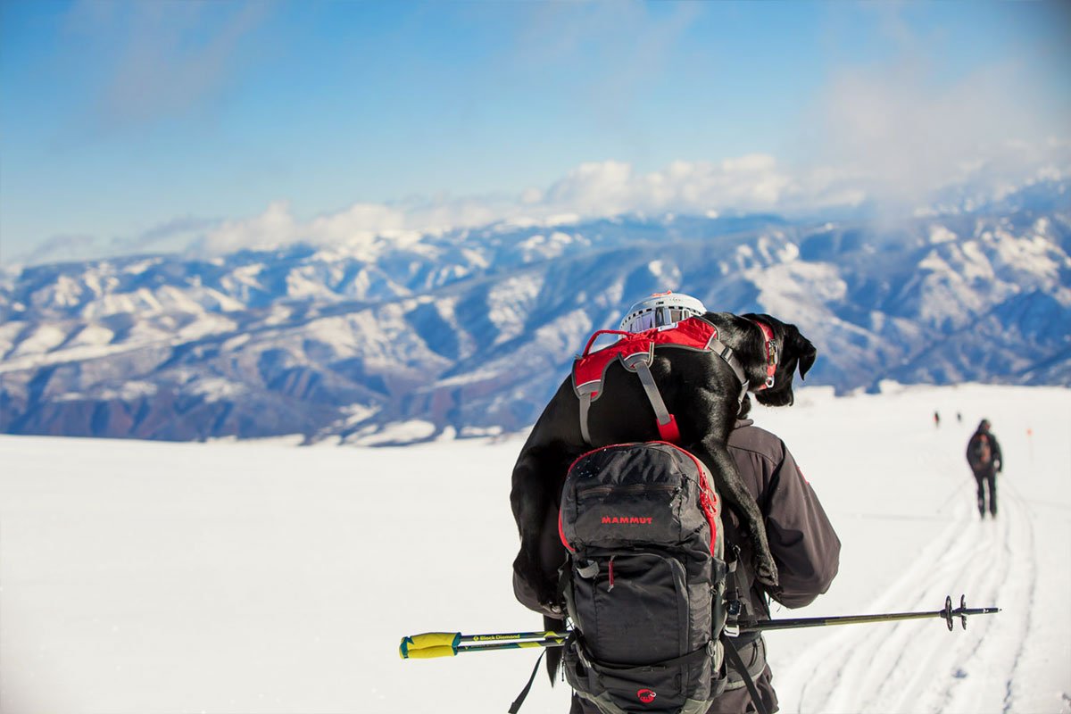 Partners Working together for a better tomorrow Ruffwear