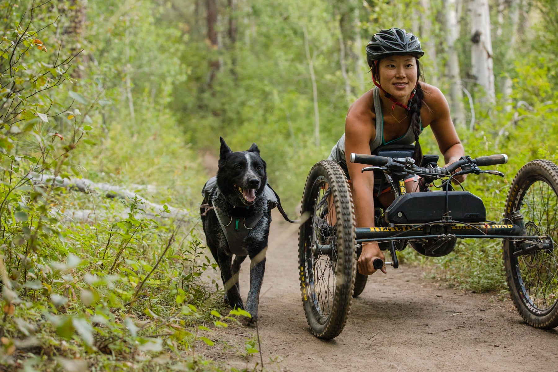 Dog biking clearance harness