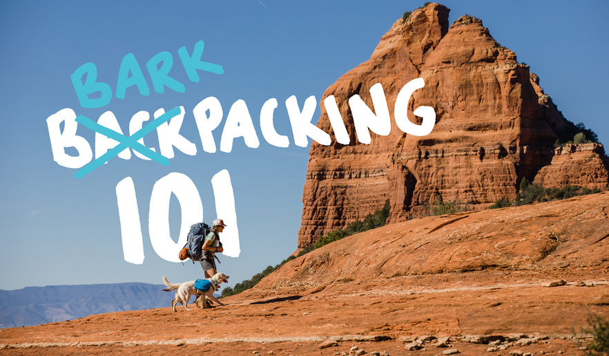 Backpacking 101, How To Backpack With Your Dog