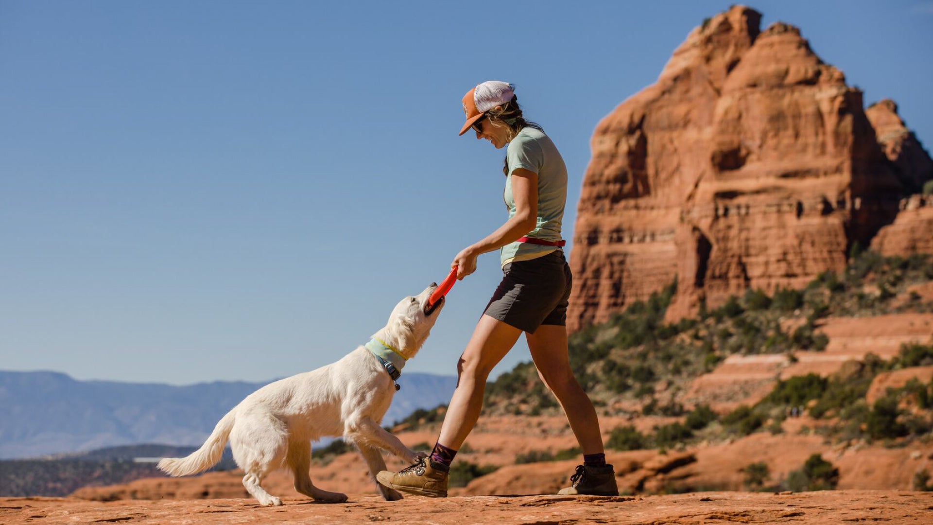 Camp Flyer Flying Disc Dog Toy Ruffwear