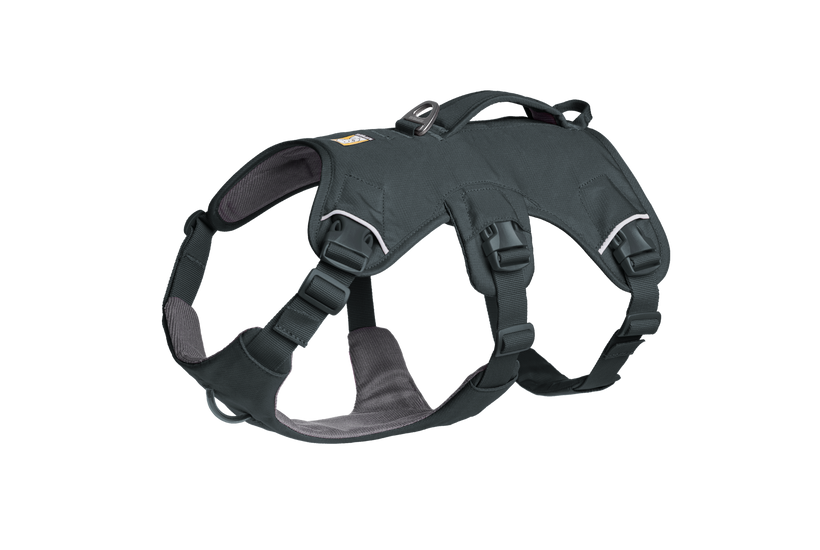 Web Master™ Dog Harness with 