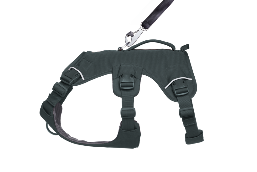 Web Master™ Dog Harness with Handle | Ruffwear Web Master™ Dog Harness with Handle | Ruffwear