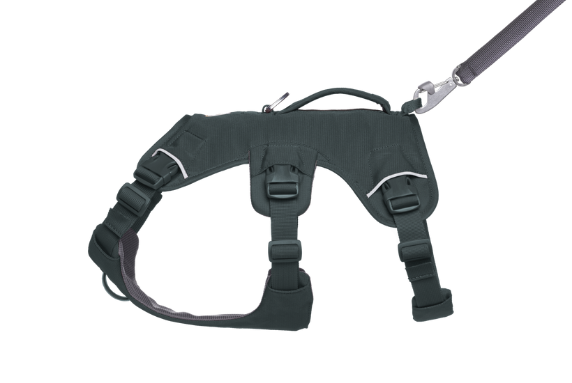 Basalt Gray