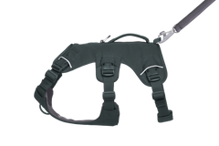 Used - Web Master™ Dog Harness with 