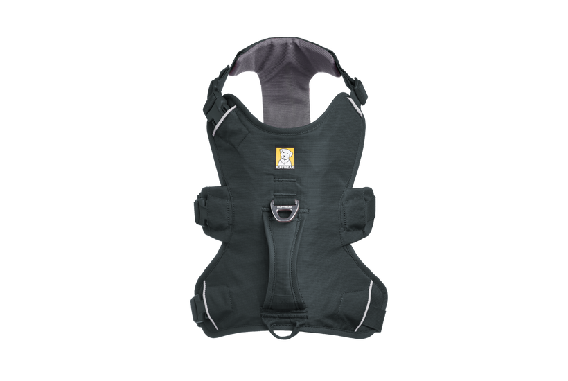 Basalt Gray