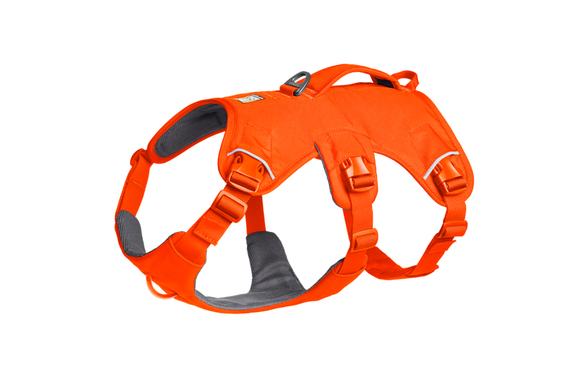 Blaze Orange