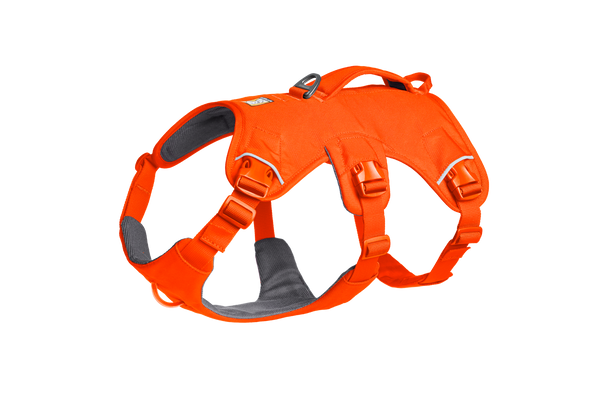 RUFFWEAR Web Master ハーネス Sサイズ オレンジ Web Master™ Dog Harness with Handle | Ruffwear