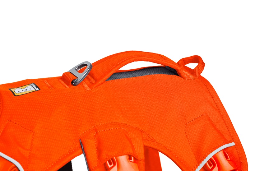 Web Master™ Dog Harness with Handle | Ruffwear Web Master™ Dog Harness with Handle | Ruffwear