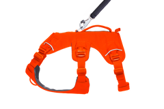 Used - Web Master™ Dog Harness with 