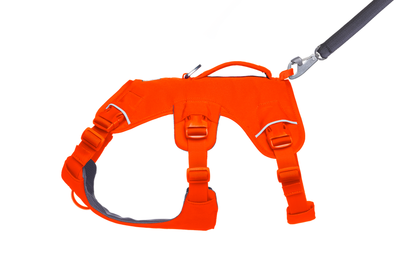 Blaze Orange