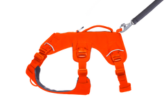 Used - Web Master™ Dog Harness with 