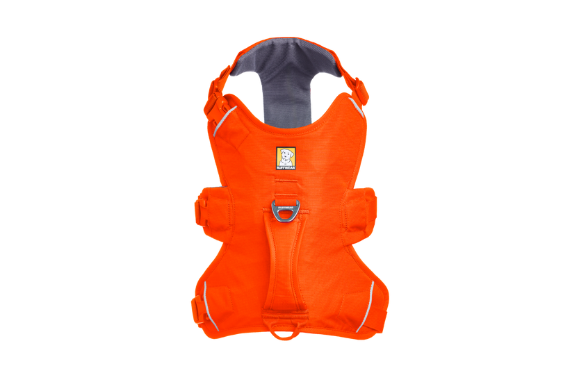 Web Master™ Dog Harness with Handle | Ruffwear Web Master™ Dog Harness with Handle | Ruffwear