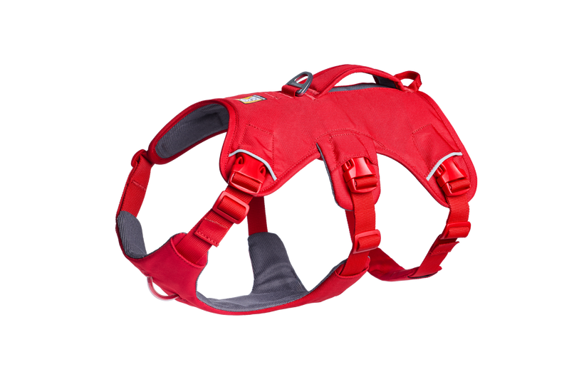 Used - Web Master™ Dog Harness with 