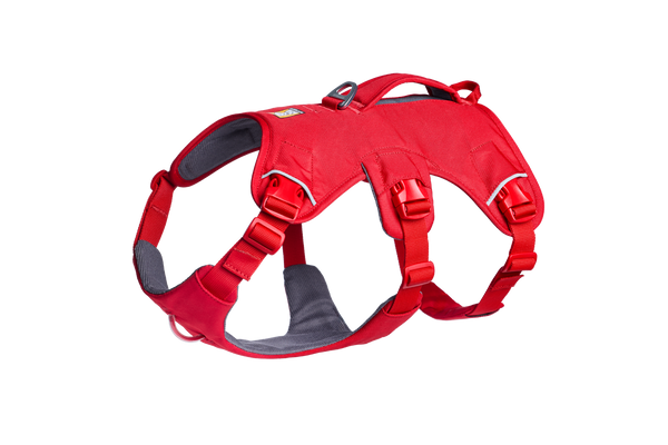 RUFFWEAR Web Master ハーネス Sサイズ オレンジ Web Master™ Dog Harness with Handle | Ruffwear