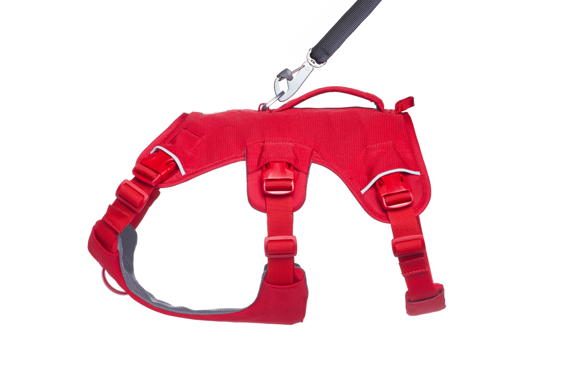 CompressedPNG-30104_Web-Master