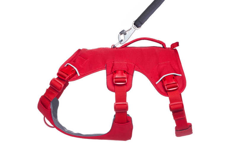 Used - Web Master™ Dog Harness with 