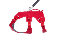 Used - Web Master™ Dog Harness with 