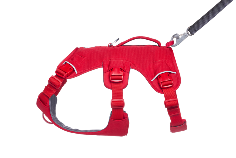 Used - Web Master™ Dog Harness with 
