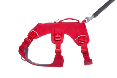 Used - Web Master™ Dog Harness with 