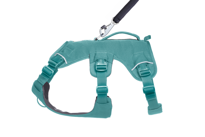 Used - Web Master™ Dog Harness with 