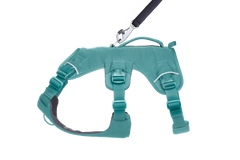Used - Web Master™ Dog Harness with 